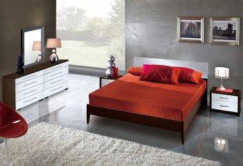 Two Toned Modern Bedroom W/Wooden Flat or Storage Bed